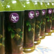 Huile d'Olive Nouvelle bouteilles